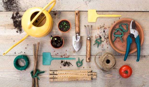 Essential home Gardening tools