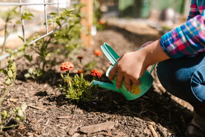 home gardening