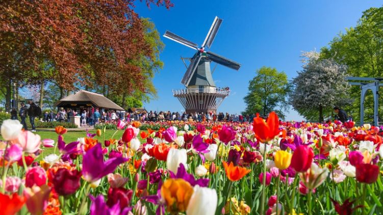 Keukenhof